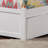 Flack Solid Wood Platform Bed with Panel Footboard & Trundle-1818709814-1841665823