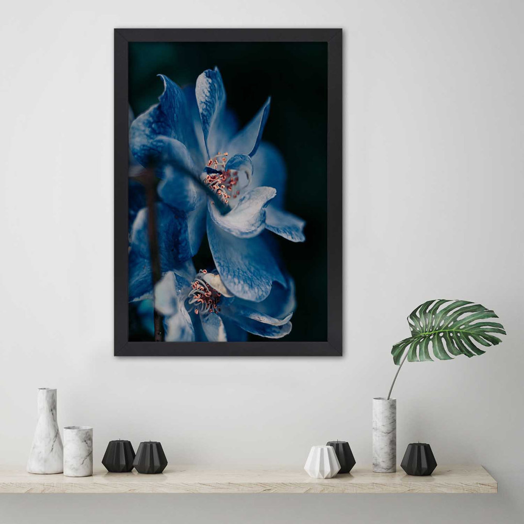 Gerahmtes Poster Nahaufnahme einer blauen Blume