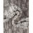 Gurjot Indoor/Outdoor Area Rug-1251582291