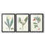 Soft Tropical IV - reproduction encadrée sur mesure de qualité supérieure mate - 3 pièces-419447262