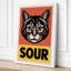Sour Cat Retro - Wrapped Canvas-1429935994-1429935993