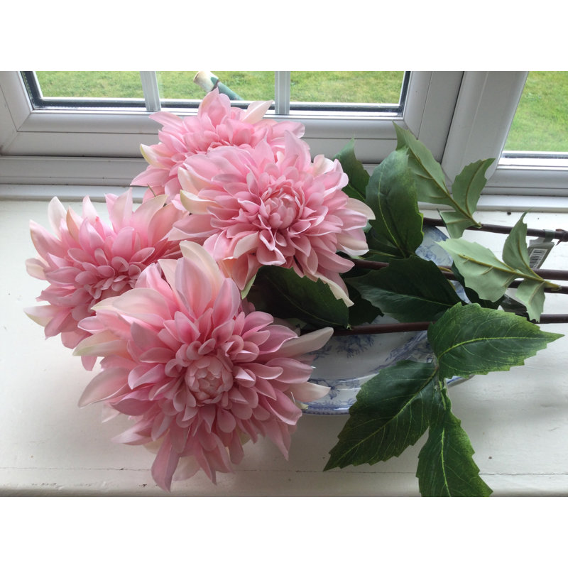 Dahlia, Light Pink