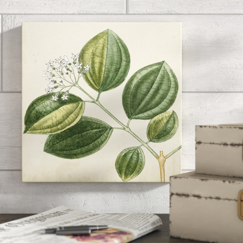 Garden Bounty VII by Vision Studio - Wrapped Canvas Painting, 30cm H x 30cm W