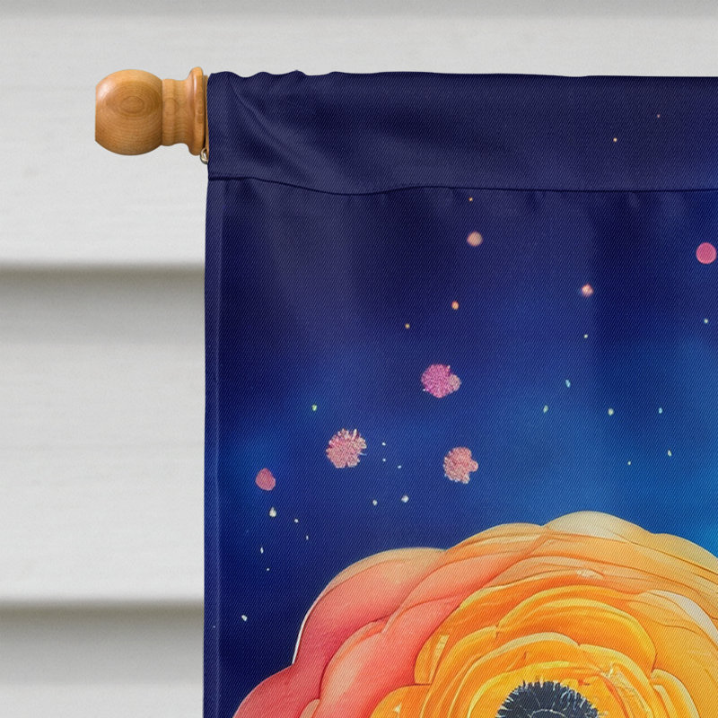 Drapeau de maison en polyester à double face H 40 po x l 28 po