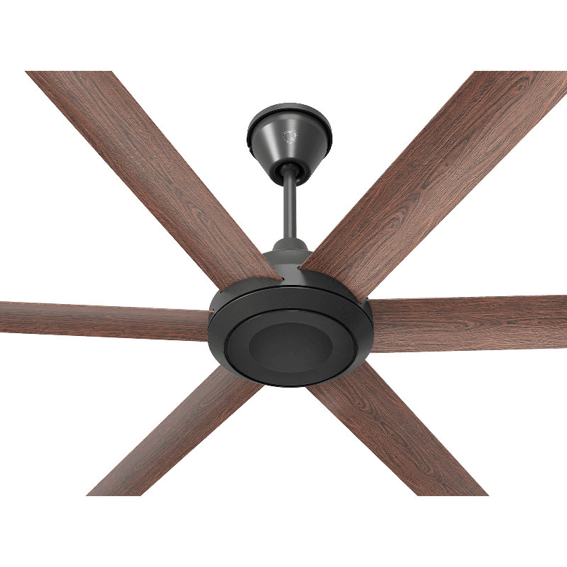 Bison Ceiling Fan, No Light, Black, 72" Wide
