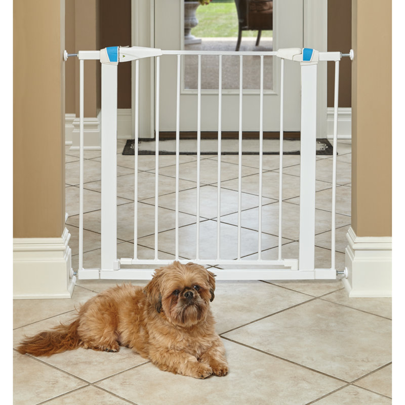 Barrière en acier pour animaux MidWest Homes, H 29 po x l 29 po x P 1,13 po, Blanc