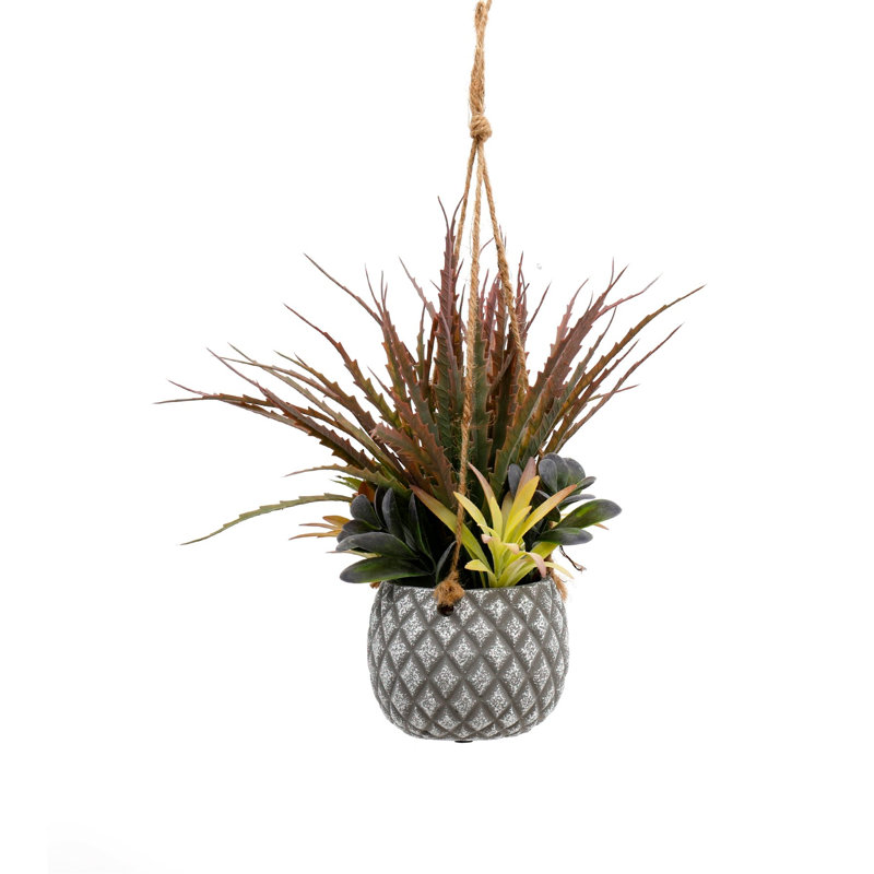 Faux Succulent Plant in Pot, 37cm H x 23cm W x 28cm D