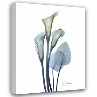 Art sur toile tendu Lark Manor ™, Koetsier, Albert, lis d'or Calla 2