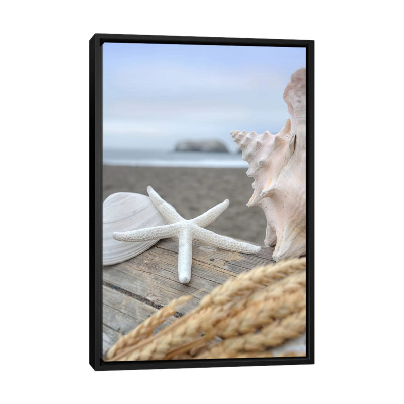 «Crescent Beach Shells» par Alan Blaustein - reproduction, H 26 po x l 18 po x P 1,5 po, Toile avec cadre noir