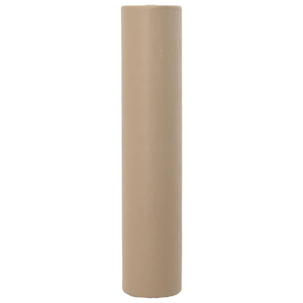 Vidaxl Plant Fleece Frost Protection Outdoor Plant Cover Garden Fleece 70 G/M²