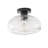 1-lamp Clear Glass Adjustable Iron Ceiling Light