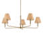 38" 5-Light Chandelier with Handwoven Rattan Shade