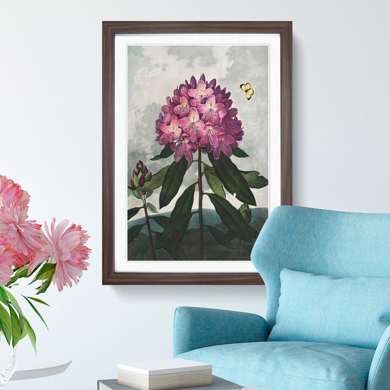 Rhododendron Flowers by R.J. Thornton - Picture Frame Painting Print, 48cm H x 36cm W x 2cm D, Walnut Framed