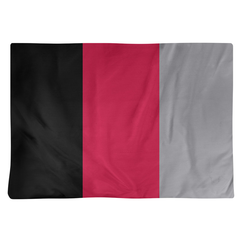 Récapitulatif 18" basket Toronto, Noir / rouge / argent, Polyester