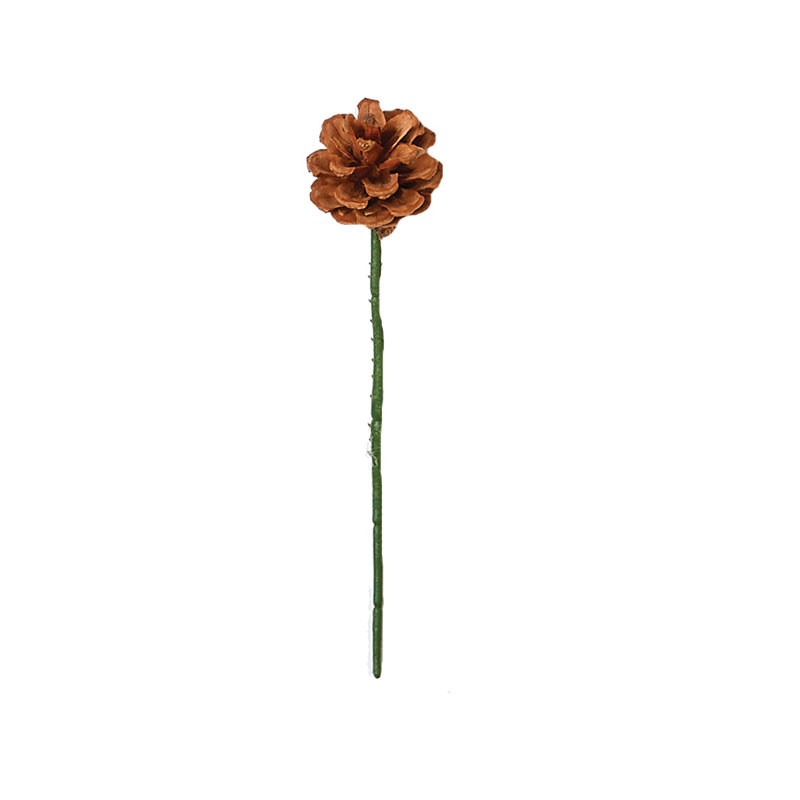 Cône de pin, Naturel