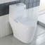 Toilette allongée pratique à une pièce 20 po