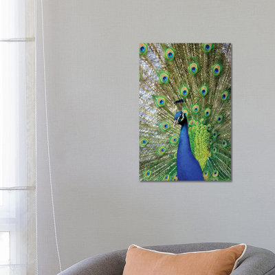Beauty IV by Goran Anastasovski - Wrapped Canvas Print
