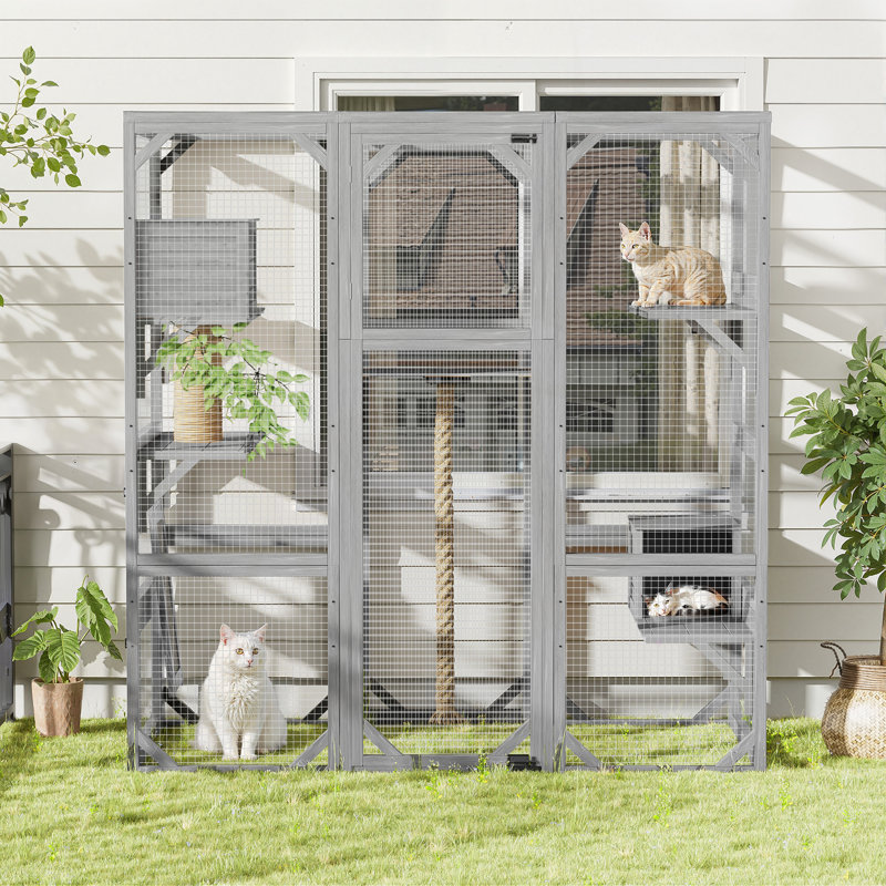 Parc extérieur pour chat avec plateformes et condos, Gris clair
