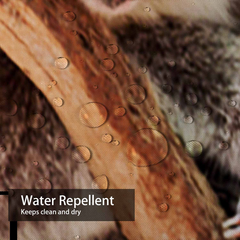 Rideau de douche Sleeping Koala Tree, L 72 po x l 84 po