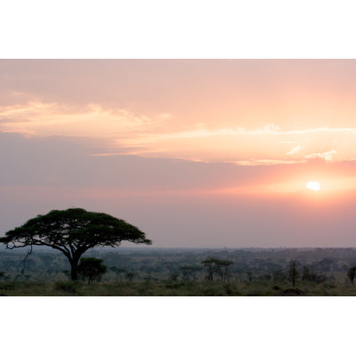 Serengeti, Tanzania by PhotomanRichard - Wrapped Canvas Print