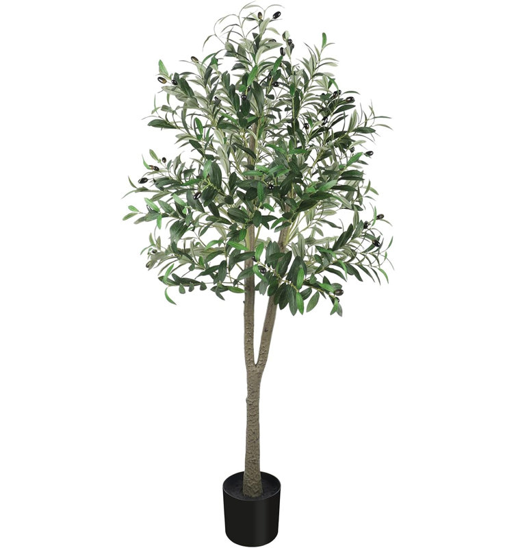 150cm Plant