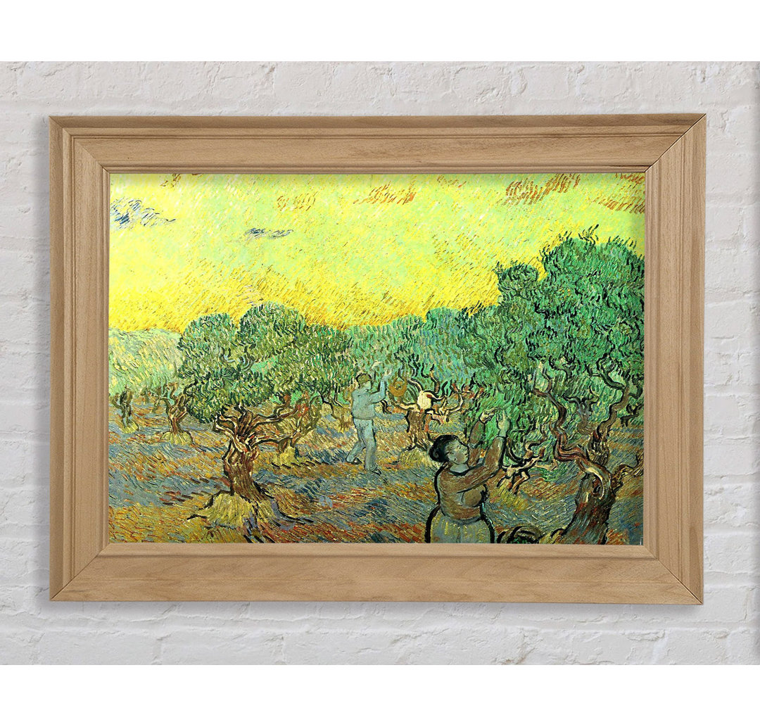 Van Gogh Olivenpflücker in einem Hain - Einzelner Bilderrahmen Kunstdrucke