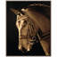 Stud 3 Print by Art House Studios-1723351779