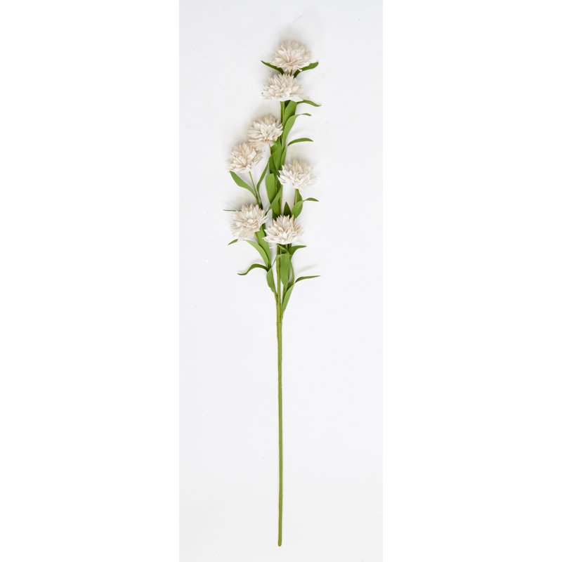 Vaporisateur de souci artificiel, Blanc
