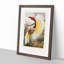 Two Birds of Paradise by Benjamin Fawcett - Picture Frame Painting Print-55777833-55777835