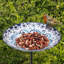 Mangeoire en verre pour oiseaux