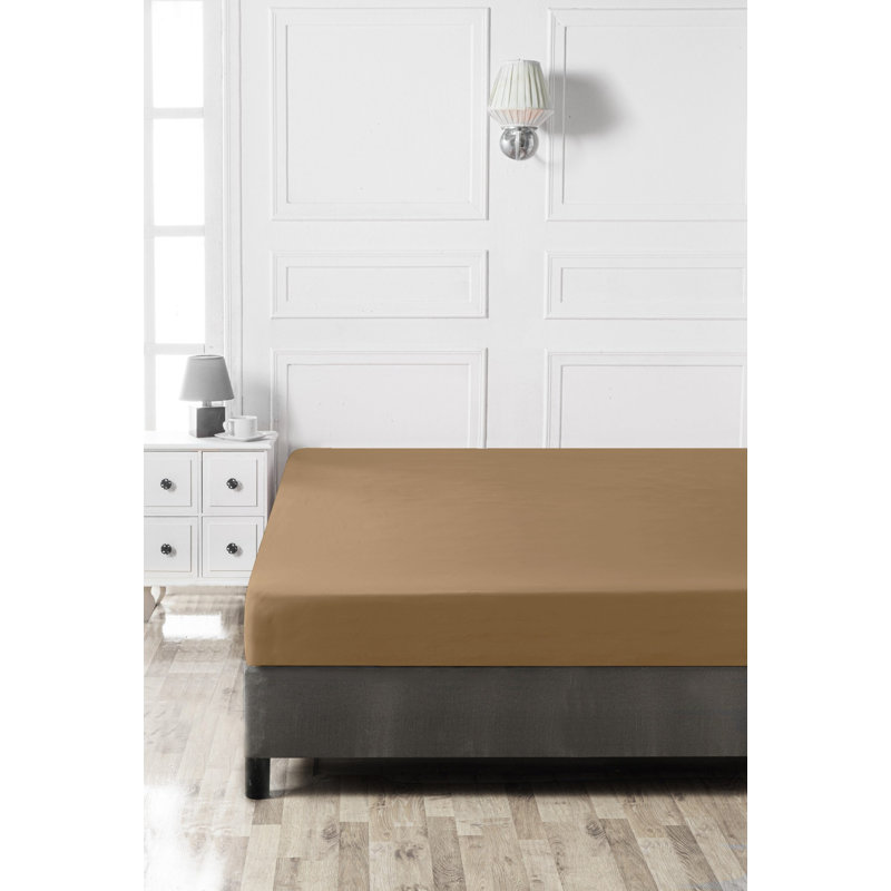 Drap-housse Ranforce, Drap-housse de taille simple, Brun clair