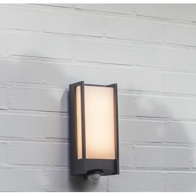 Vahram 1-Light LED Wall Spotlight