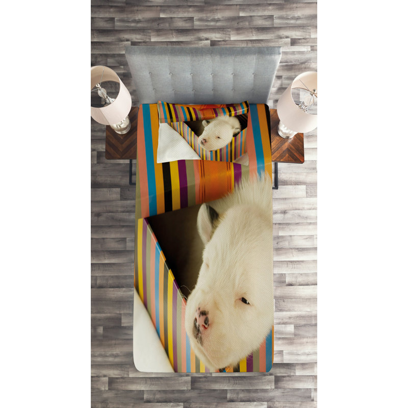 Puppy Modern & Contemporary Polyester Coverlet, Twin Bedspread + 1 Sham