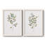Eucalyptus I - Toile encadrée de qualité supérieure - prête à être accrochée-1043727643-1043727642