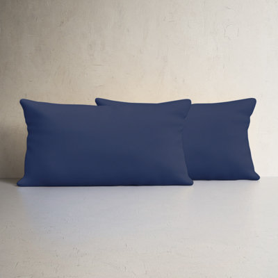 Almeda Indoor/Outdoor Lumbar Throw Pillow