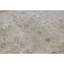 Cotton Oriental Area Rug in Camel/Rust