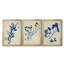 «Indigo Leaf Study I», ensemble de 3 peintures sur toile encadrées-117274344-117274345