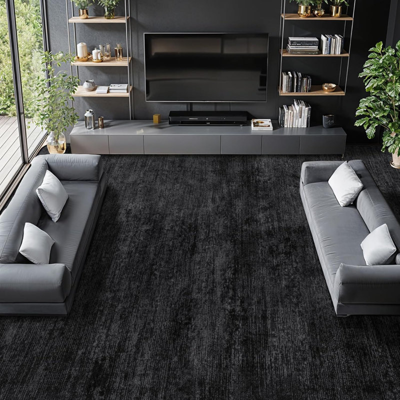 Tapis lavable pour salon