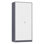 Armoire de rangement simple en acier avec serrure (H 72 po x l 32 po x P 16 po)