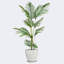 Pots de plantes rondes en résine avec plateau type Sago-1627659453-1627659452