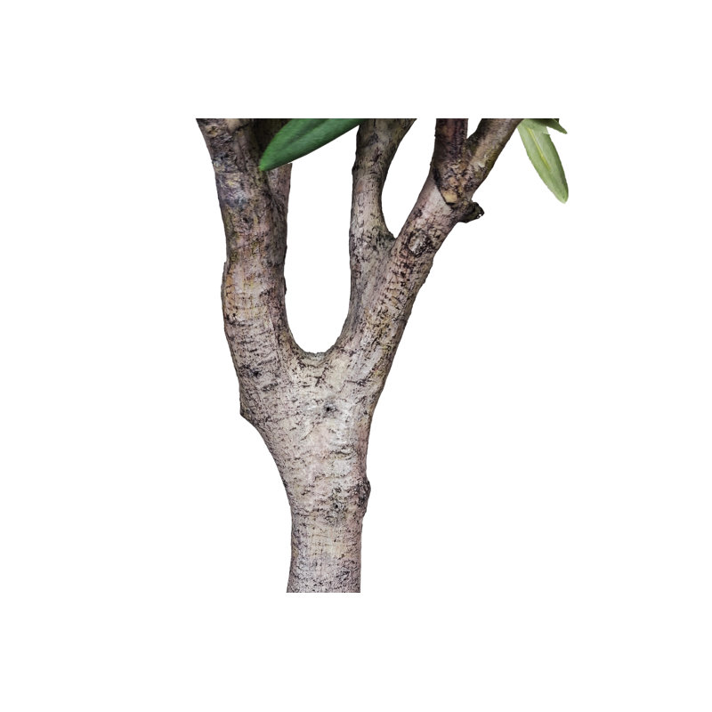 Olive artificielle dans un pot décoratif blanc, H 78,75 po x l 41,25 po x P 39,5 po