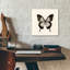 «Butterfly III BW» par Debra Van Swearingen - photographie sans cadre-1003073969