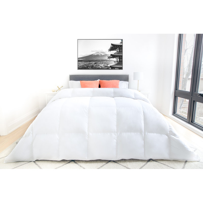 725 Fill Power Hutterite White Goose Down 500TC Comforter, X-King (40 oz)