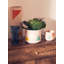 Bavaria Pot Planter-421208486