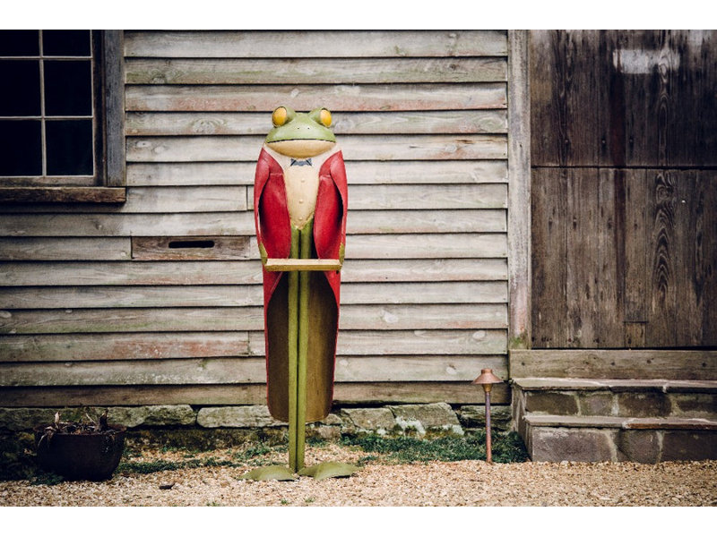 Statue de grenouille et serveur Dumb