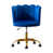 Blue is out of stock selected