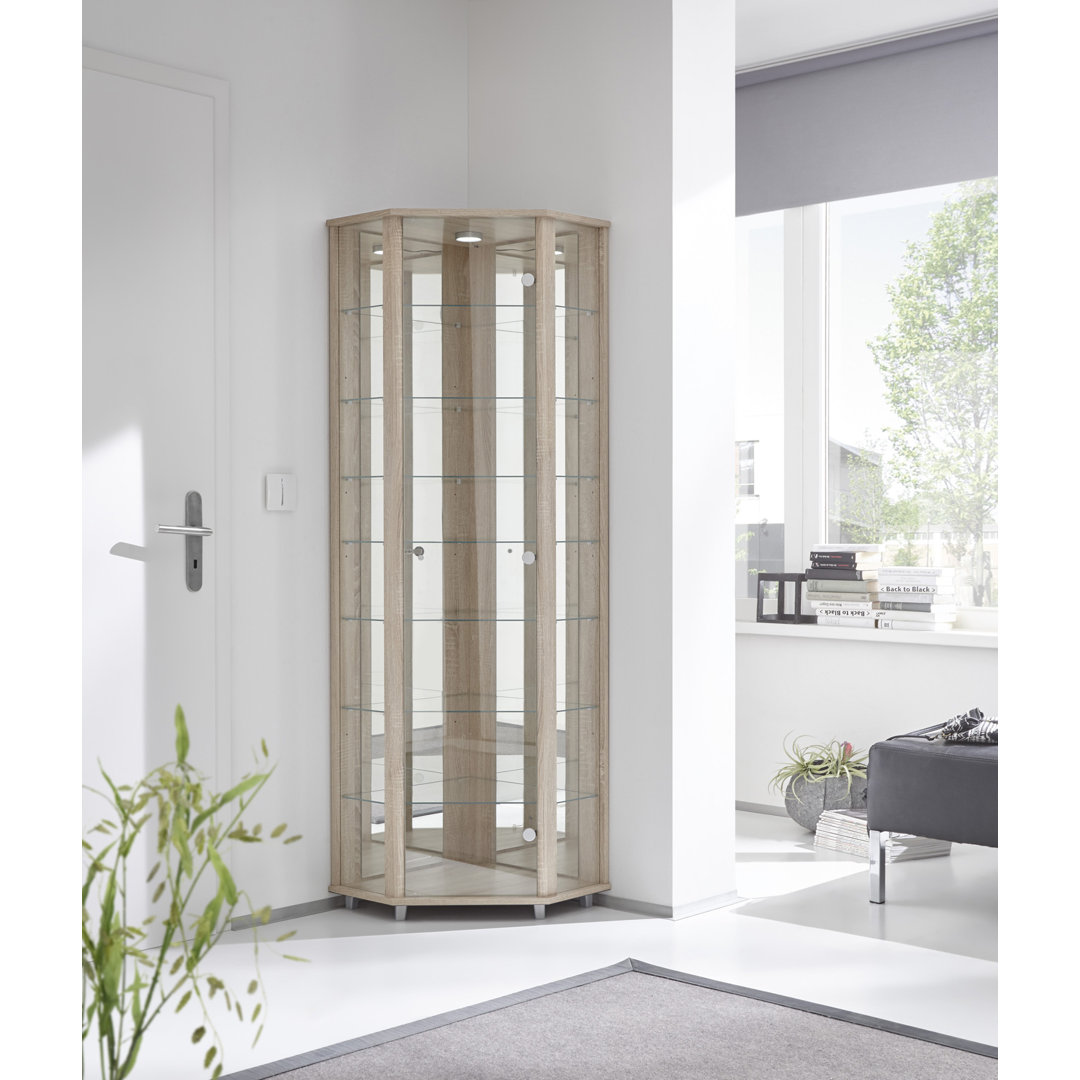 Frankmut Corner Curio Cabinet with Lighting