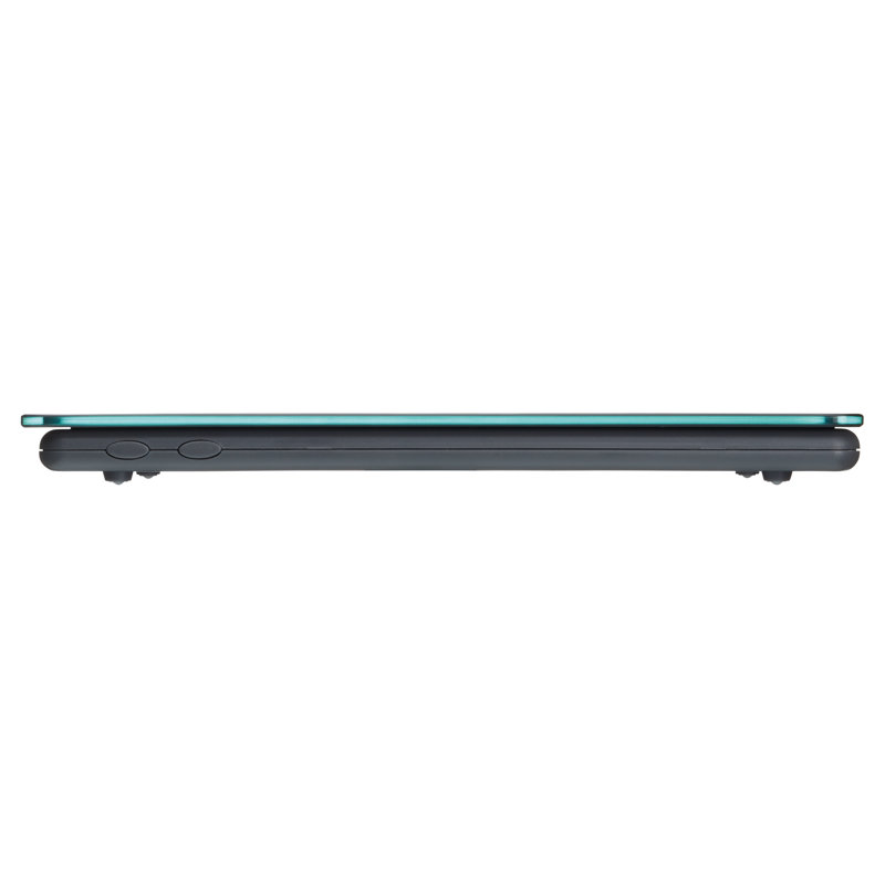 Taylor Pro Digital Scale