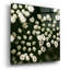 «Little White Flowers» par Tom Quartermaine-338229781