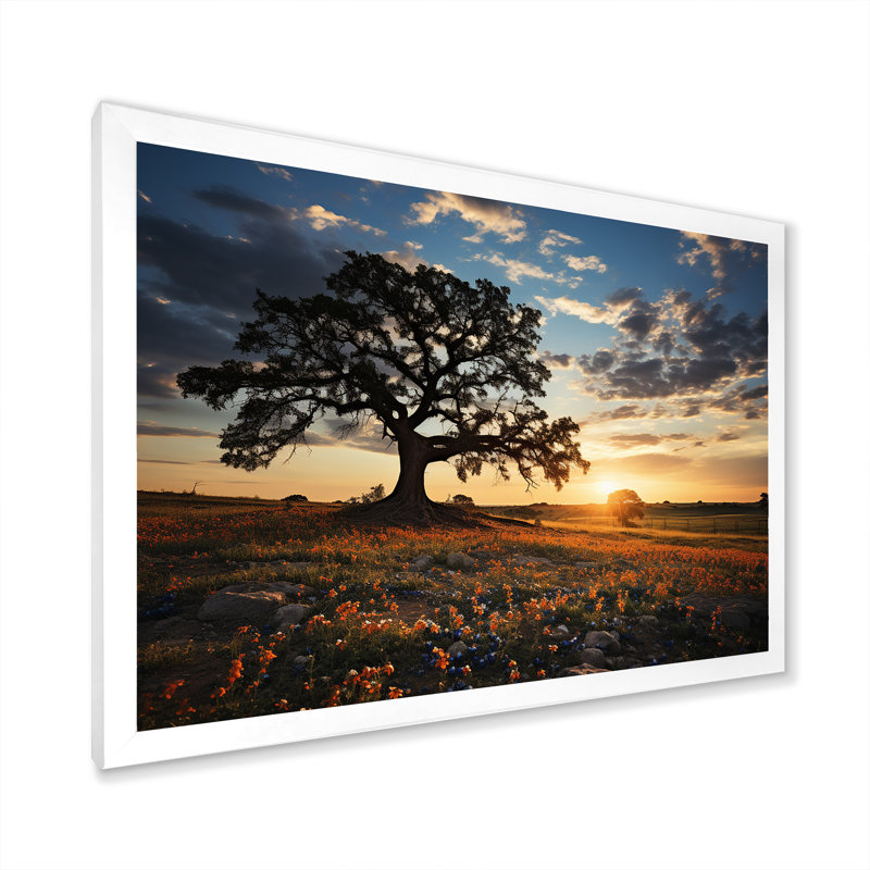 «Orange Bonnets Field With Sunset», reproduction sur toile, H 12 po x l 20 po x P 1 po, Blanc